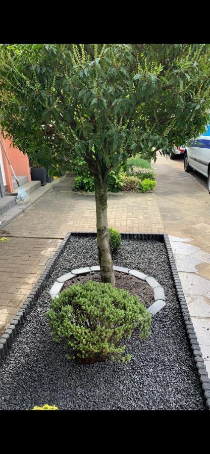 Casa Arturo Duesseldorf Apartment Ngoại thất bức ảnh